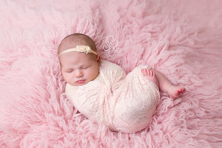 Hollister newborn photographer