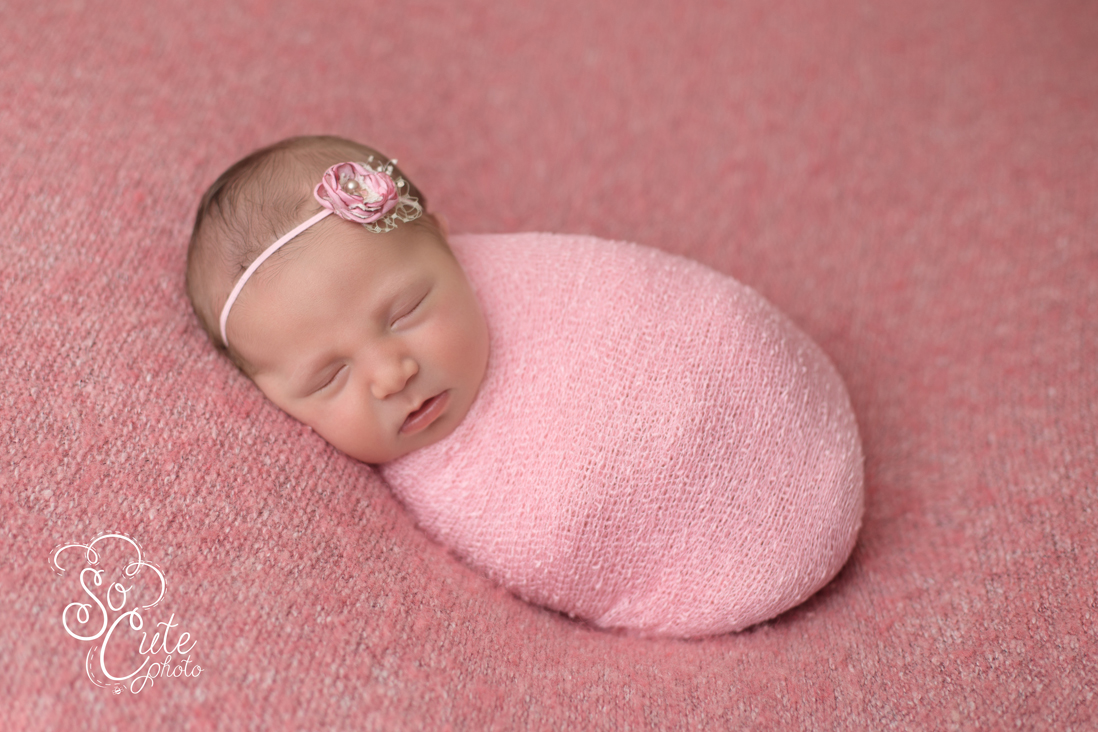 Gilroy newborn baby photo