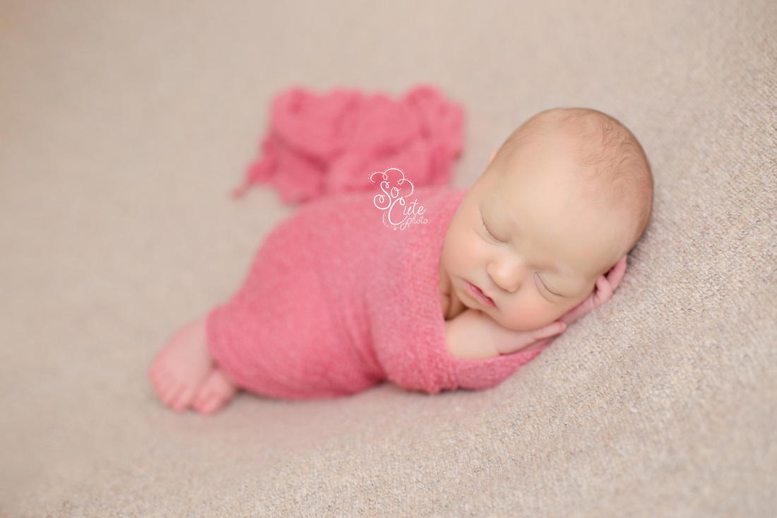 San Jose Newborn Photographer