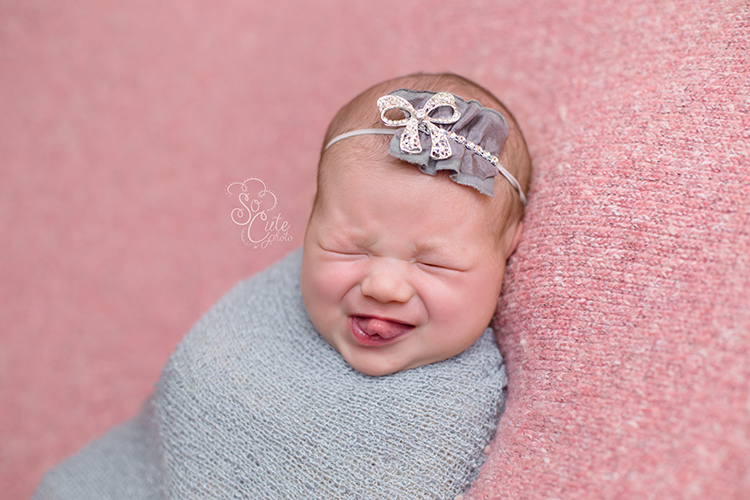 Hollister newborn photographer