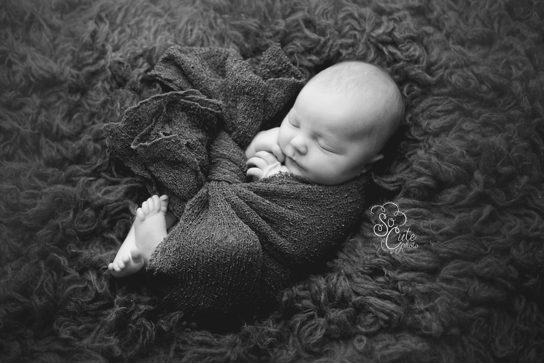 Gilroy newborn photography