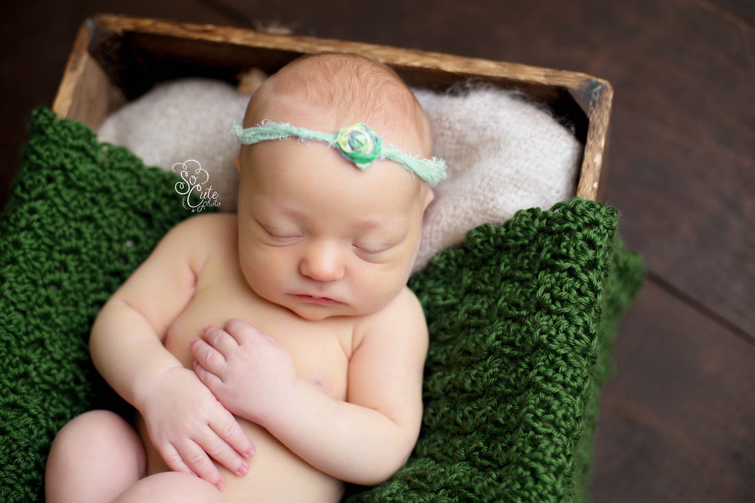 San Jose Newborn Photographer