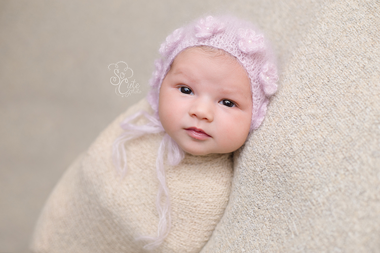 Hollister newborn photographer