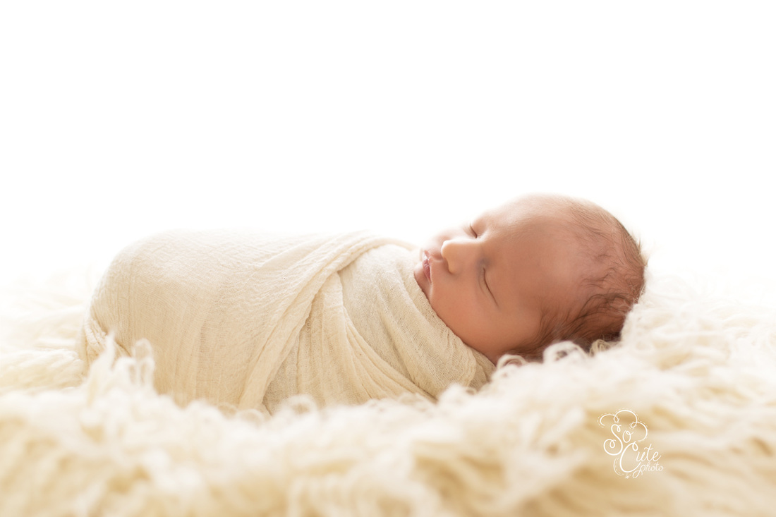 Monterey newborn photographer