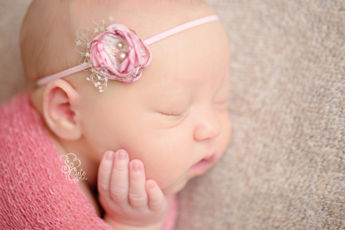 San Jose Newborn Photographer