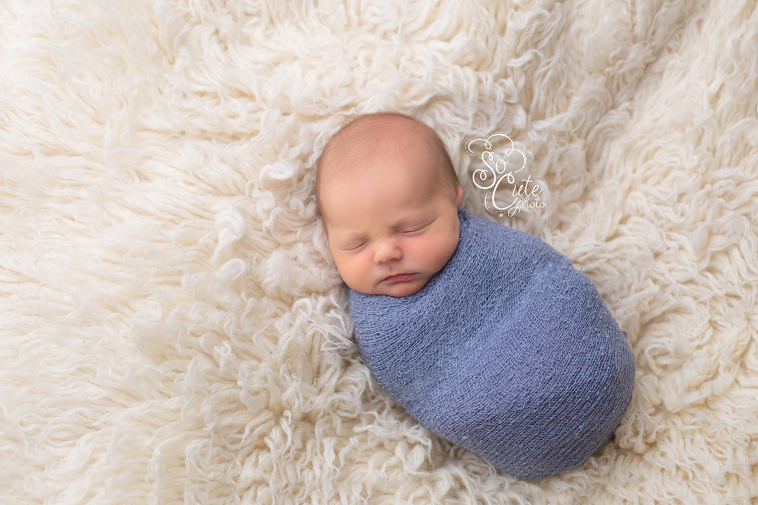 Gilroy newborn photography