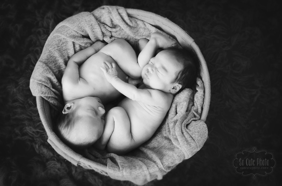 Morgan Hill Newborn Photography Twins