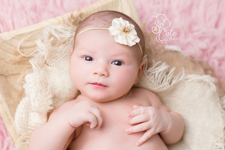 Hollister newborn photographer