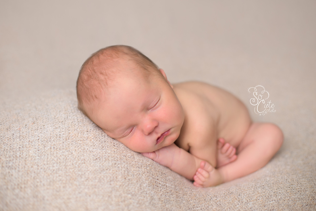 Gilroy newborn photography